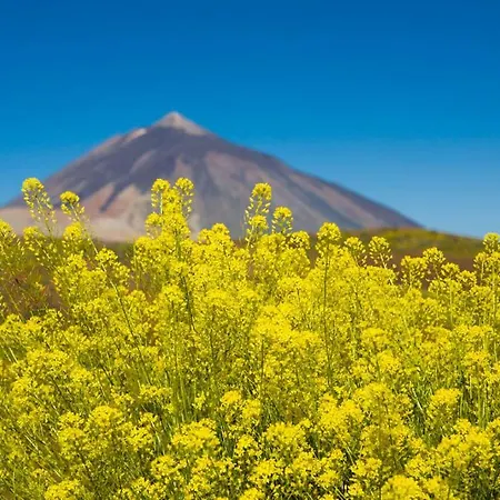 Casa El Drago Εξοχικό σπίτι *
